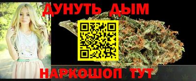 сатива Краснознаменск