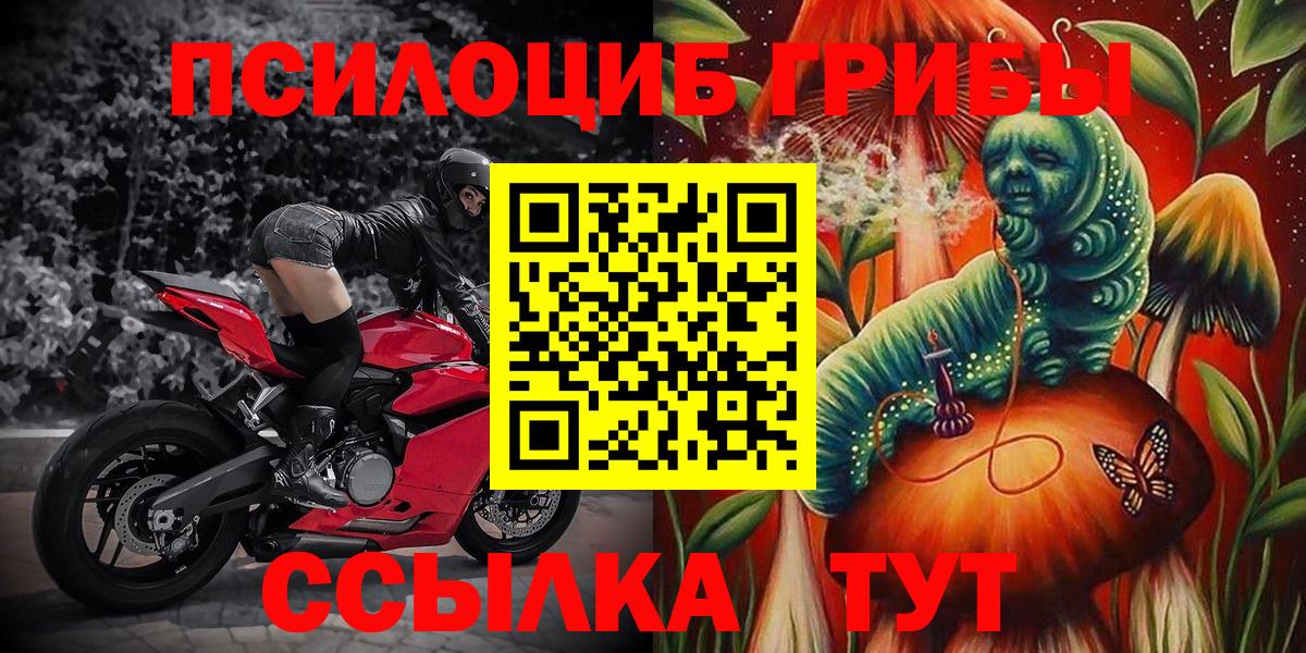 Псилоцибиновые грибы Magic Shrooms  Вход с VPN  Екатеринбург 