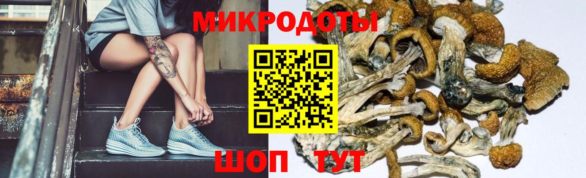 Псилоцибиновые грибы мухоморы Екатеринбург